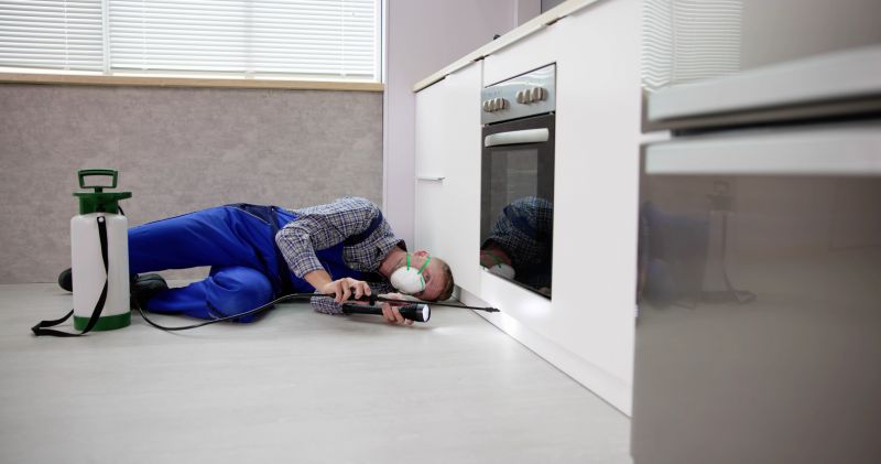 Fly Control in Commercial Kitchens