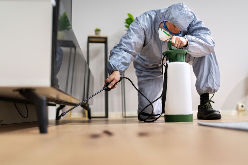 Pest Fumigation Service in Santa Fe, NM