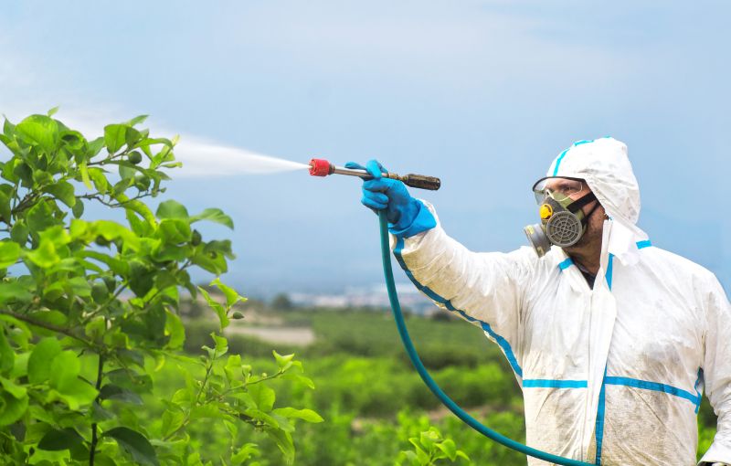 Residential Fumigation in Bellingham, WA