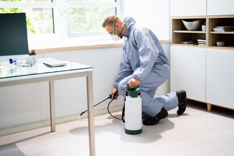 Spider Mite Extermination in Frisco, TX